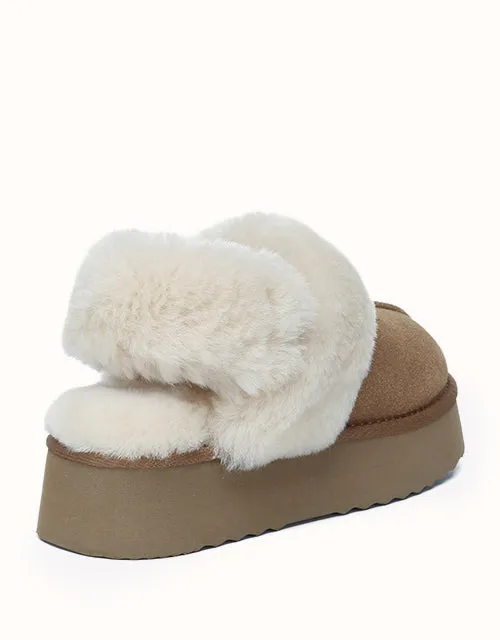 AUSTRALIAN SHEPHERD® Suzie Platform
