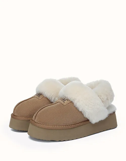 AUSTRALIAN SHEPHERD® Suzie Platform