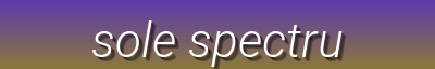 Step into Comfort and Style with Our Diverse Shoe Collection | Sole Spectrum Hub